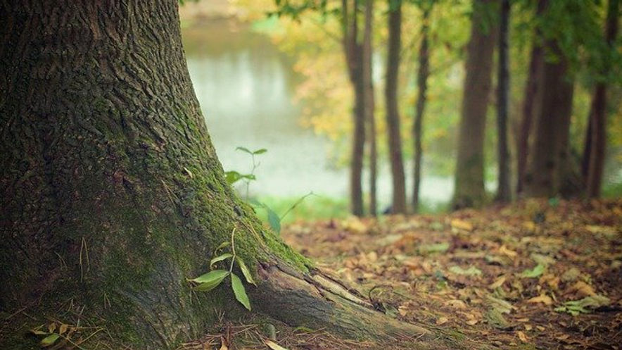 What are the benefits of Grounding?